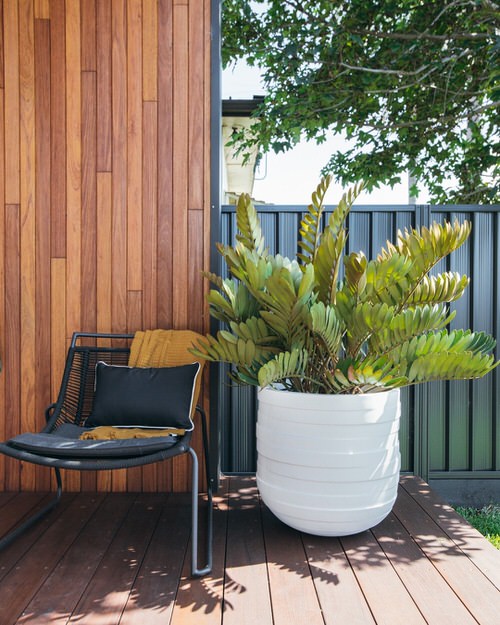 Ways to Increase Curb Appeal Using Plants 5
